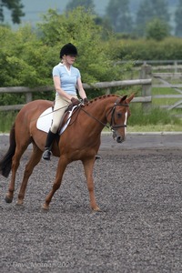 ISIS Dressage Challenge 2008